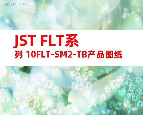 JST FLT系列 10FLT-SM2-TB产品图纸